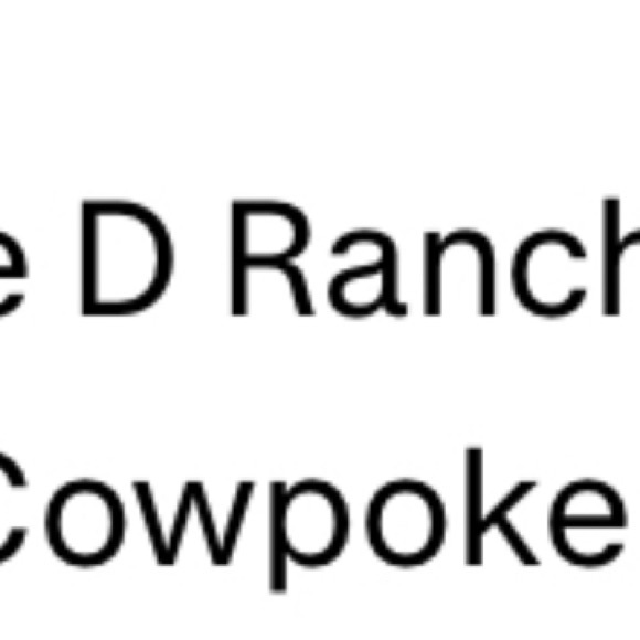 Double D Ranch Graphic Print Maxi Skirt cowpoke xl nwt - Picture 11 of 12